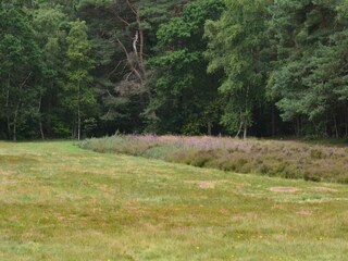 Casa per le vacanze Djursland  20