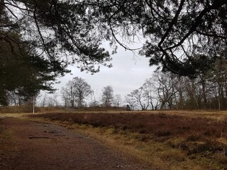 Casa de vacaciones Djursland  15