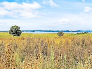 Apartment Millinge  12