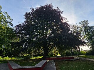 Vakantiehuis Bogø  22