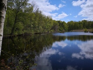 Holiday house Bogø  39
