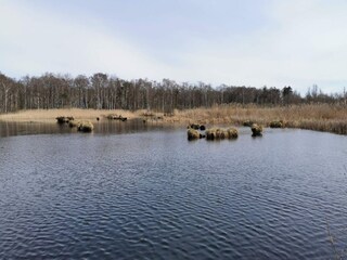 Maison de vacances Bogø  42