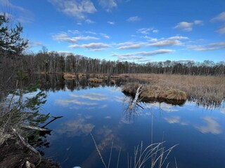 Vakantiehuis Bogø  38
