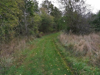 Ferienhaus Dannemare  39