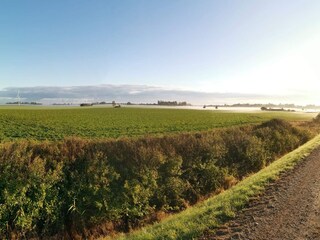 Holiday house Dannemare  12