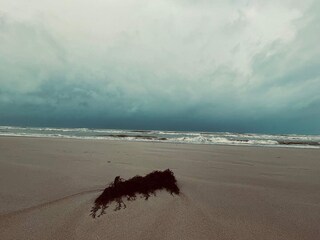 Maison de vacances Blokhus  34