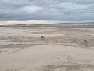 Ferienhaus Blokhus  26