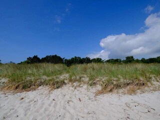 Casa per le vacanze Marielyst  22