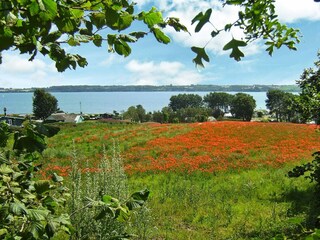 Holiday house Aabenraa  21