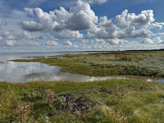 Ferienhaus Ørsted  37