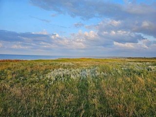 Ferienhaus Ørsted  39