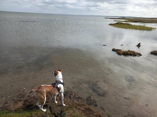 Ferienhaus Ørsted  35
