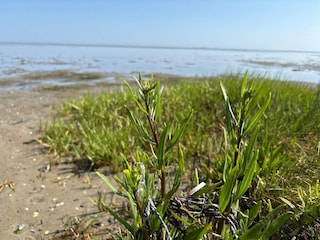 Ferienhaus Ørsted  36