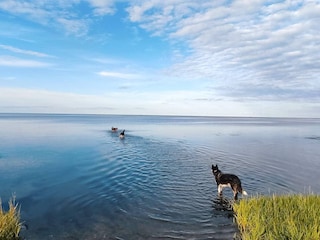 Ferienhaus Ørsted  37