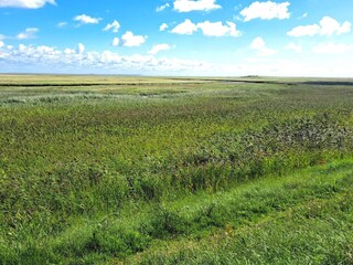 Holiday house Sønderho Sogn  31