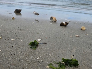 Ferienhaus Sønderho Sogn  34