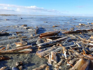 Casa de vacaciones Sønderho Sogn  13