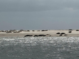 Ferienhaus Sønderho Sogn  36