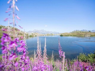 Chalet Vaujany Environnement 34