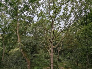 Casa per le vacanze Als  22