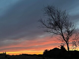 Maison de vacances Blåvand  24
