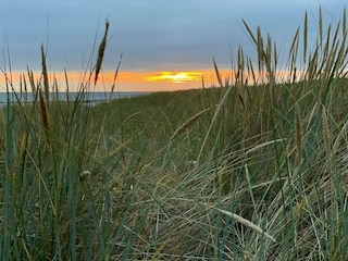Vakantiehuis Blåvand  36
