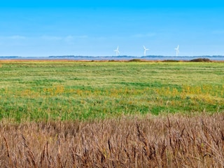 Ferienhaus Thorsminde  12