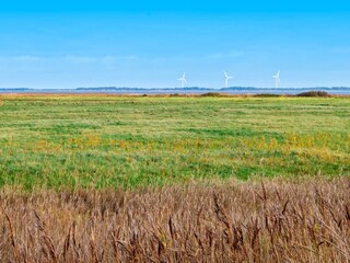 Holiday house Thorsminde  5