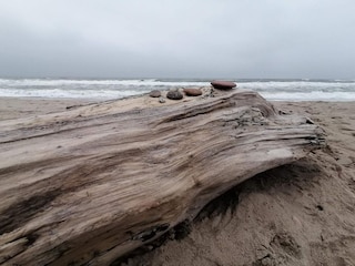 Vakantiehuis Thorsminde  26