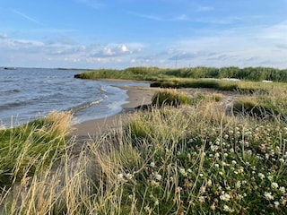 Maison de vacances Thorsminde  8
