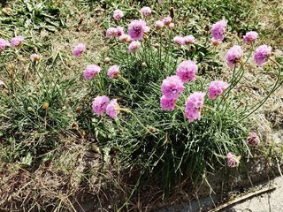 Vakantiehuis Thorsminde  11