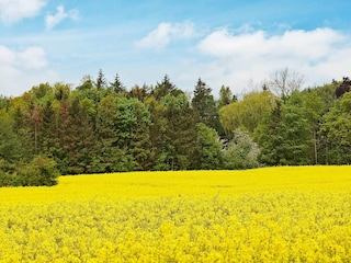 Ferienhaus Olpenitz  16