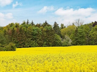Casa de vacaciones Olpenitz  22