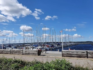 Ferienhaus Hvalpsund  32