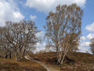 Ferienhaus Gjern  39