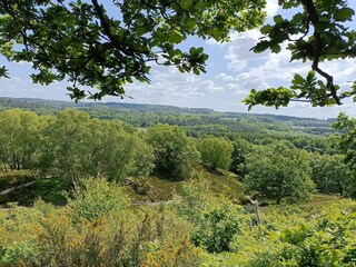 Ferienhaus Gjern  42