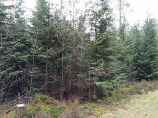 Casa de vacaciones Gjern  11