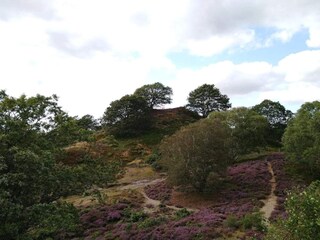 Ferienhaus Gjern  14