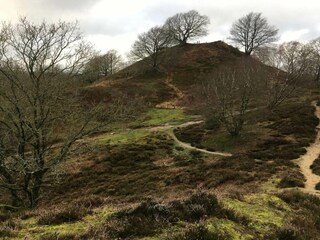 Ferienhaus Gjern  40