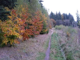 Holiday house Gjern  44