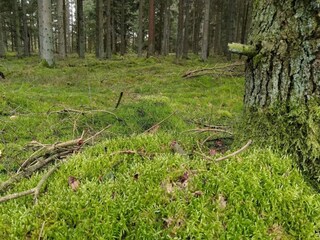 Ferienhaus Gjern  16