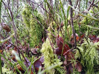 Vakantiehuis Gjern  31