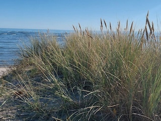 Casa per le vacanze Hals  47