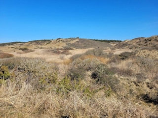 Holiday house Hirtshals  25