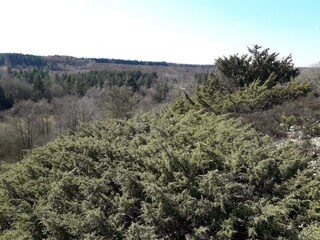 Casa de vacaciones Silkeborg  9