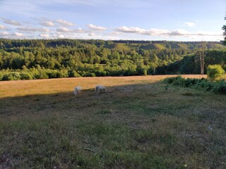 Casa per le vacanze Silkeborg  15