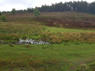 Ferienhaus Silkeborg  31