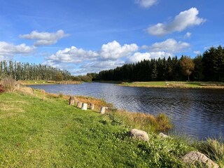 Vakantiehuis Silkeborg  18