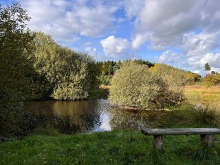 Casa per le vacanze Silkeborg  28