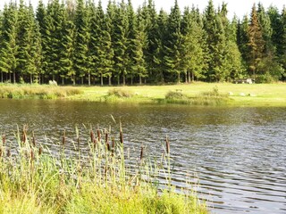 Maison de vacances Silkeborg  21